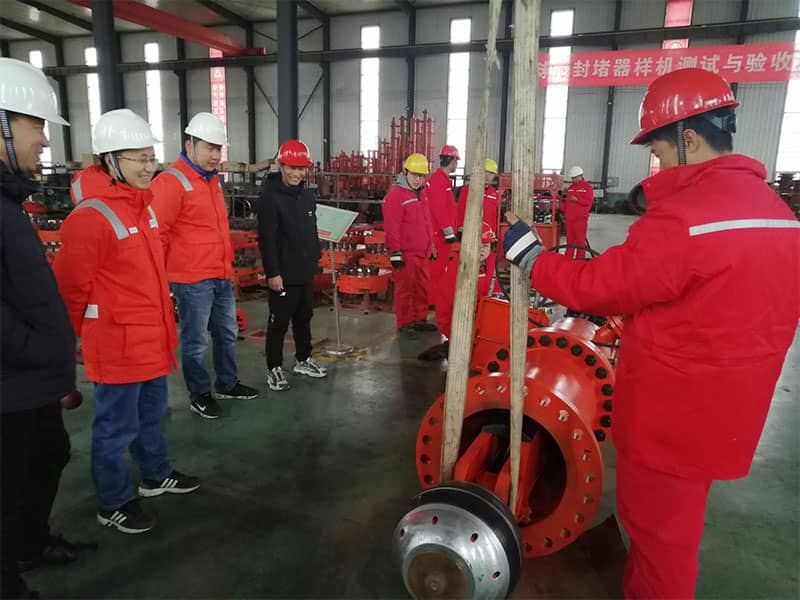 Close-up detail of the innovative spherical sealing head, demonstrating how it provides superior sealing contact within a pipeline.