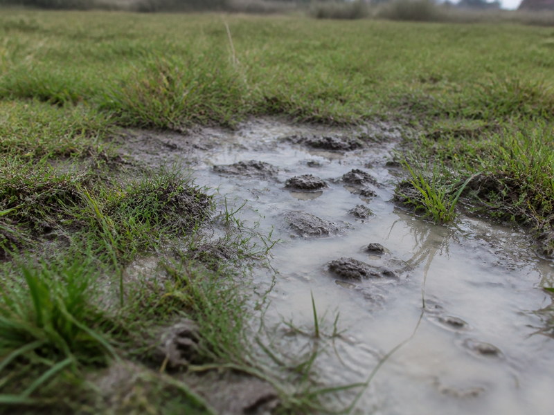 Field view of drilling fluid emerging at the ground surface away from an HDD entry pit